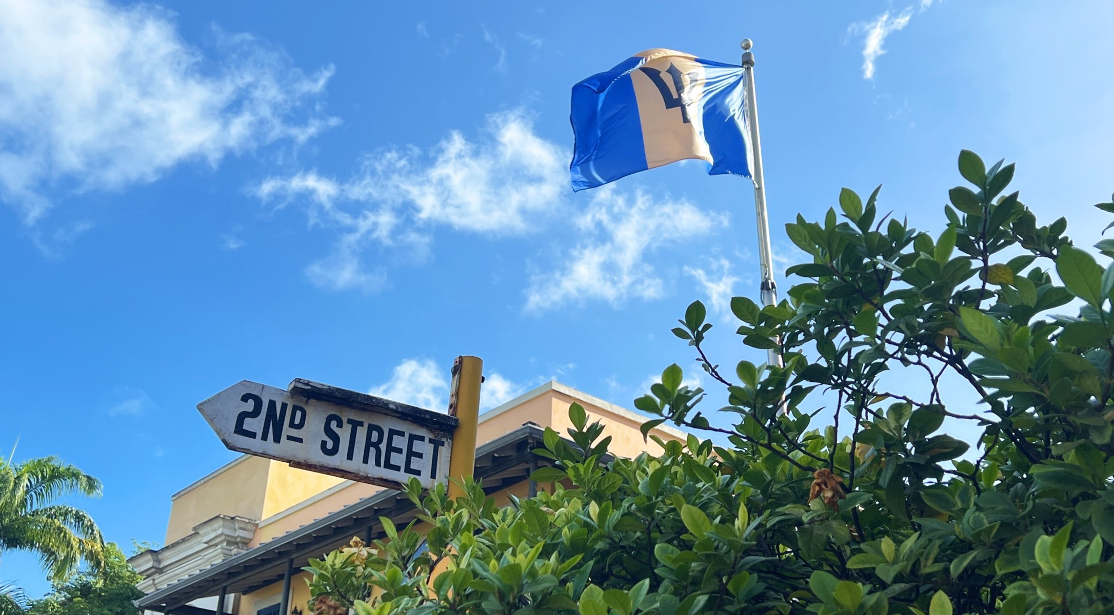 Savannah (10)